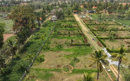 Aarogya Graama – Premium Farm Plots