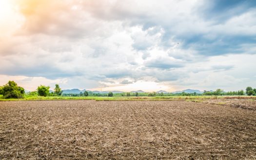 Land for Sale near Mysore